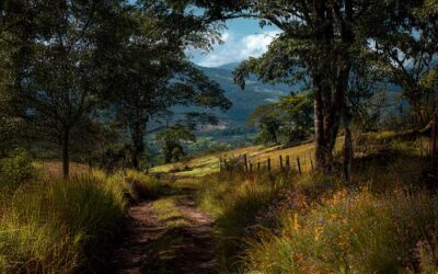 Beneficios da peregrinación, terapia de benestar