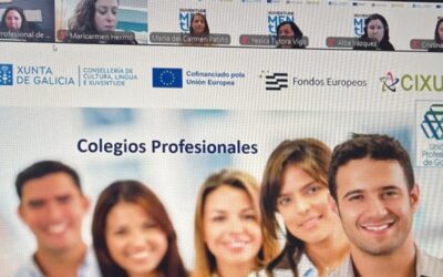 Impartido webinar: protagonismos Colegios Profesionales