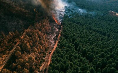 Declaración ante os graves incendios forestais